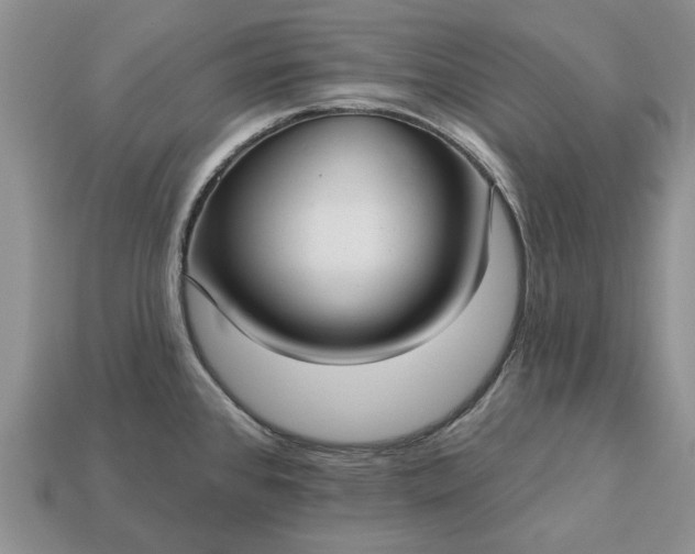 X0000113271384200909241534