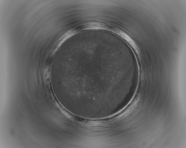 X0000113271385200909241534
