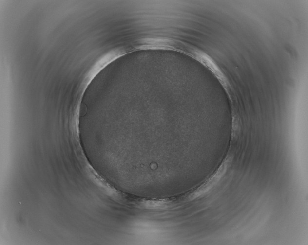 X0000113271386200909241534