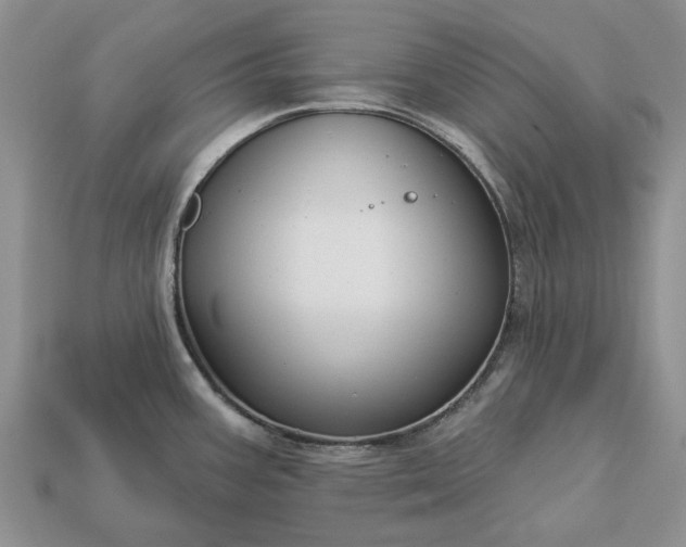 X0000113271387200909241534
