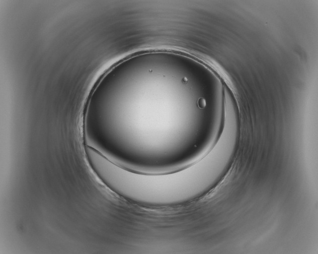 X0000113271388200909241534
