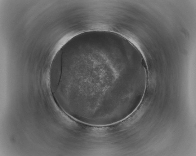 X0000113271389200909241534