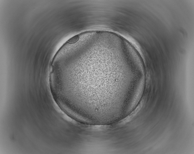 X0000113271390200909241534