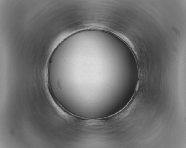 X0000113271391200909241534