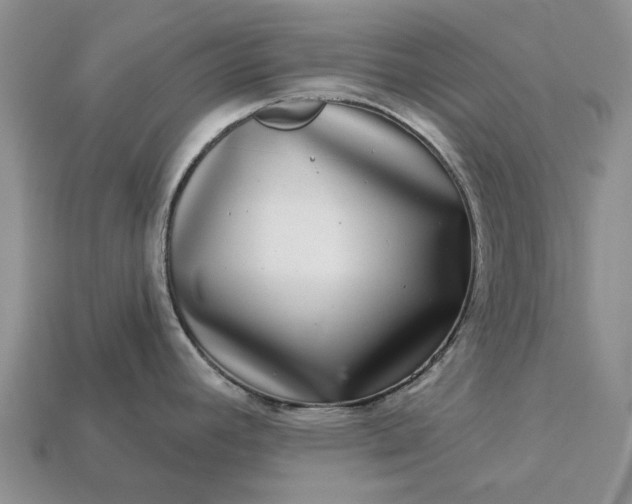 X0000113271392200909241534