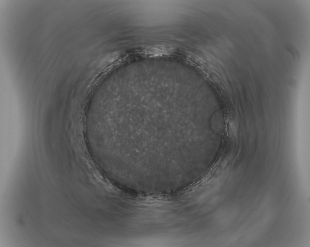 X0000113271393200909241533