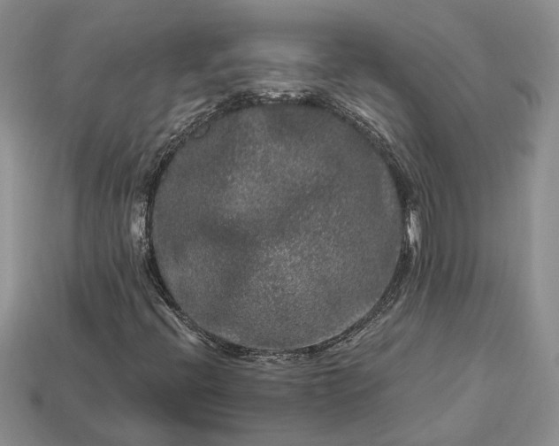 X0000113271396200909241533