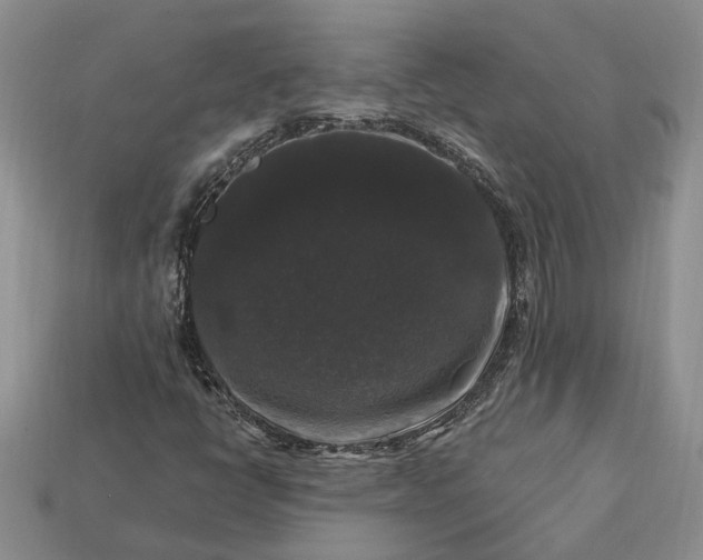 X0000113271398200909241533