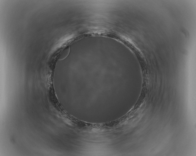 X0000113271399200909241533
