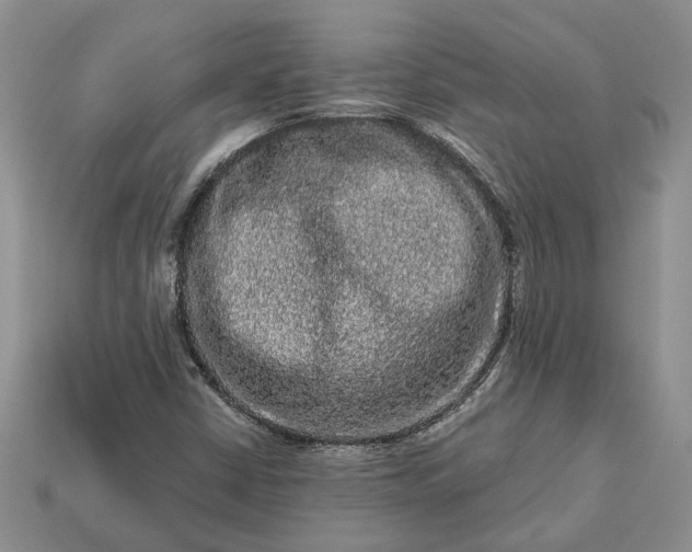 X0000113271402200909241533