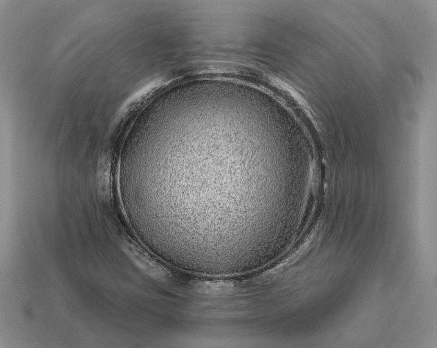 X0000113271403200909241534
