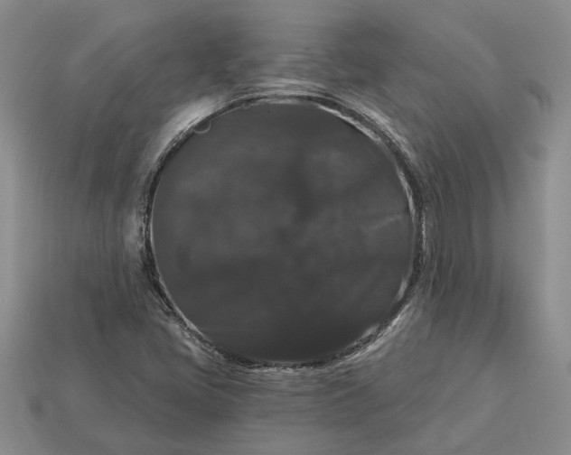X0000113271405200909241534