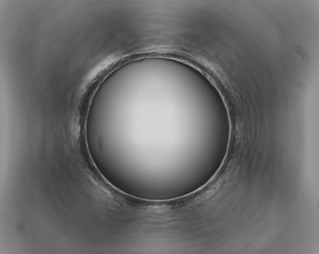 X0000113271406200909241534
