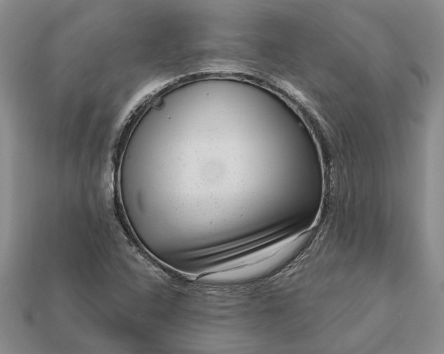 X0000113271408200909241534