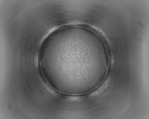 X0000113271409200909241534