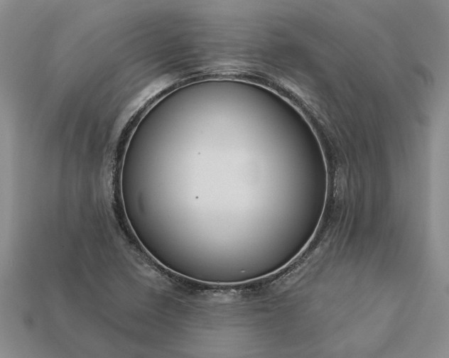 X0000113271410200909241534
