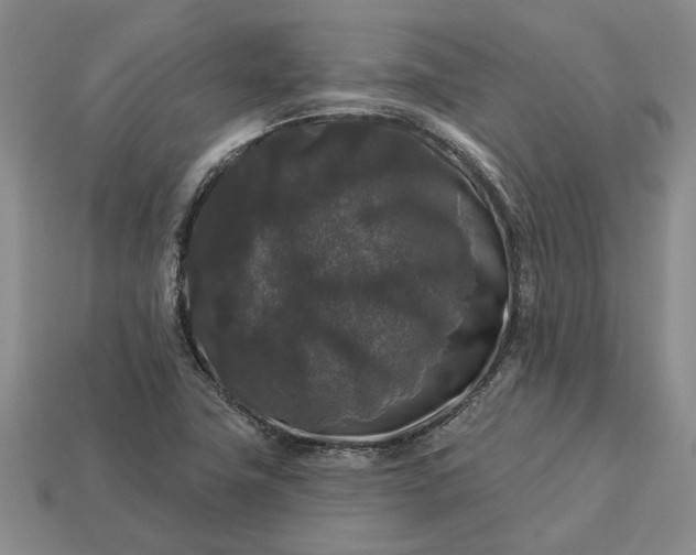 X0000113271411200909241534