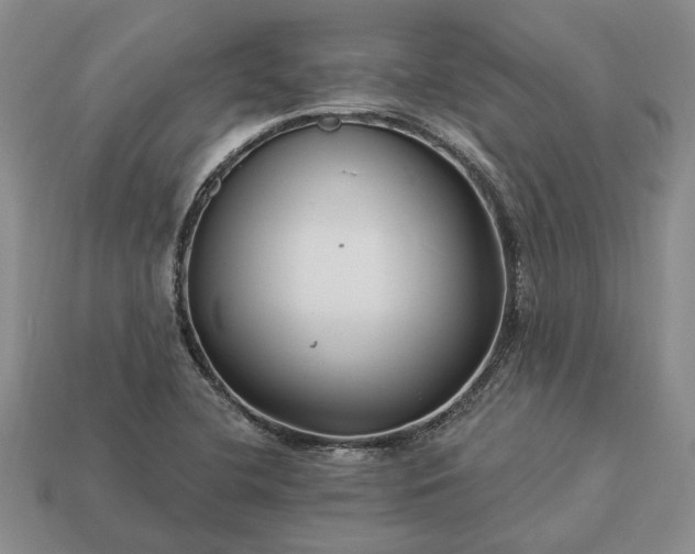 X0000113271412200909241534