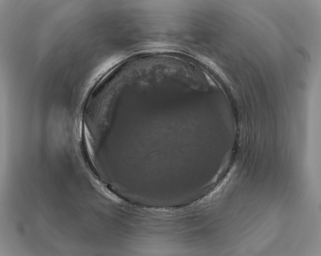 X0000113271413200909241534