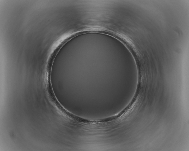 X0000113271414200909241534