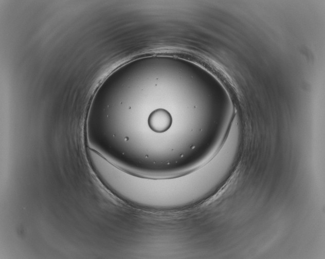 X0000113271417200909241534