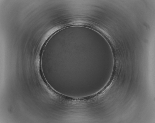X0000113271418200909241534