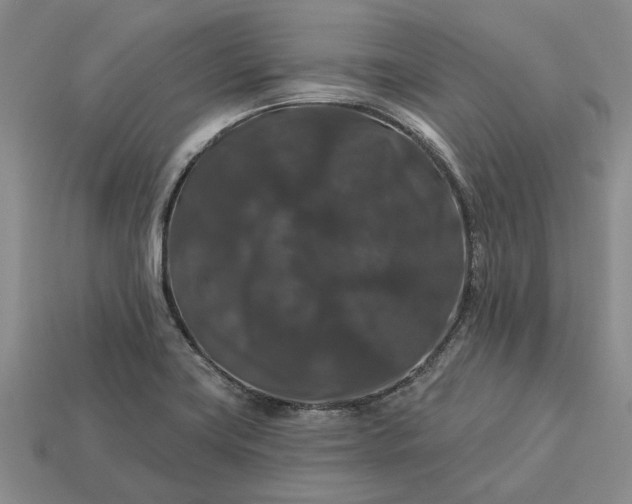 X0000113271419200909241534