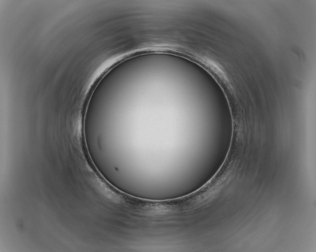 X0000113271420200909241534