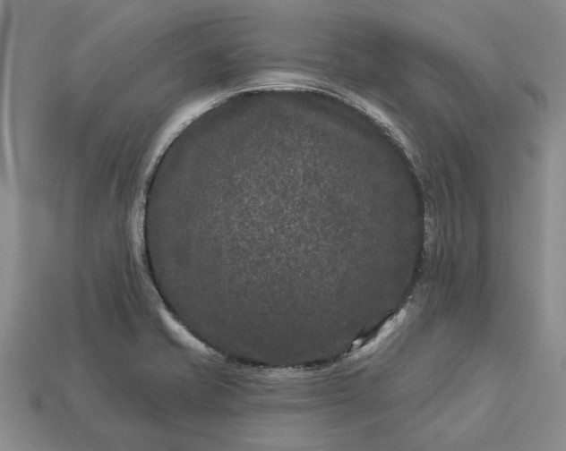 X0000113271421200909241534
