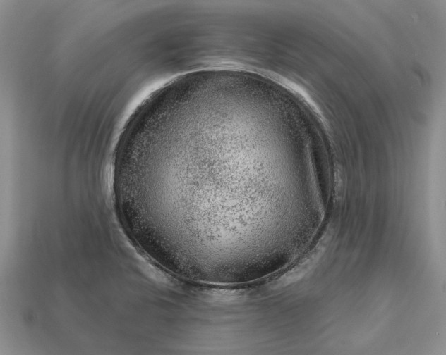 X0000113271424200909241534