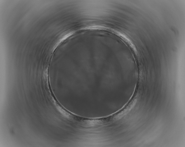 X0000113271425200909241534