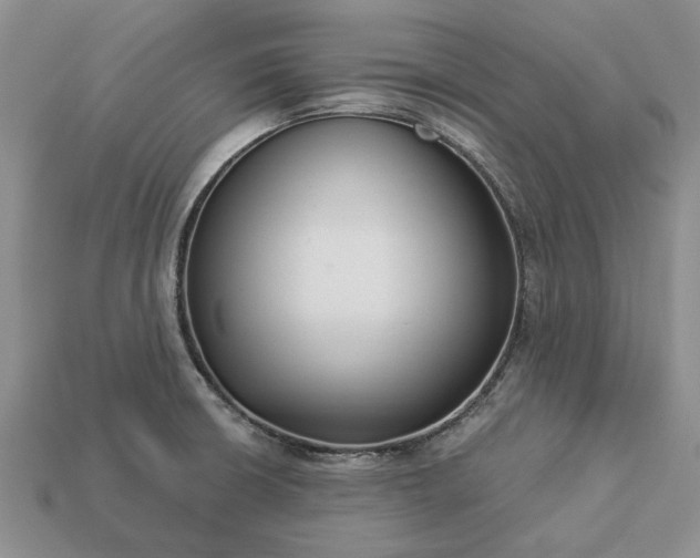 X0000113271426200909241534