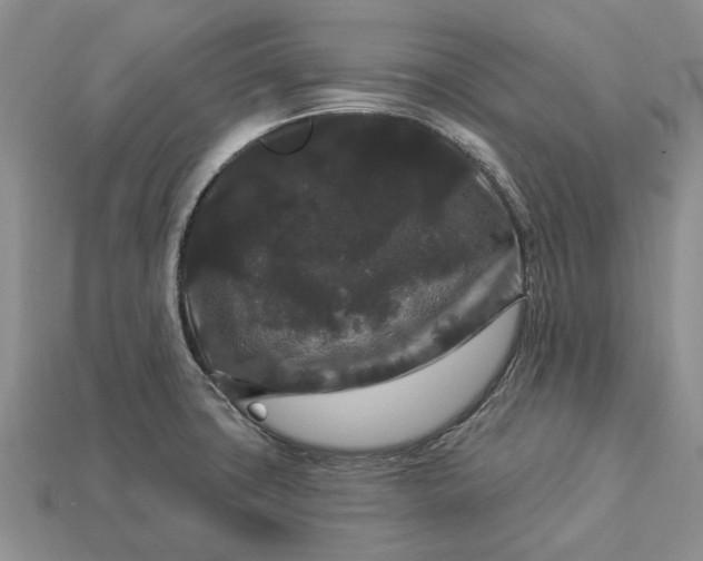 X0000113271427200909241534