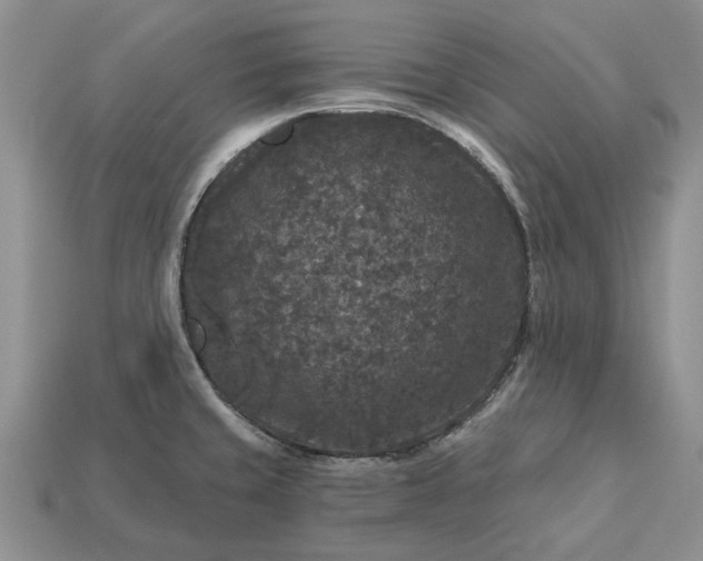 X0000113271429200909241534