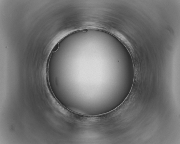 X0000113271431200909241534