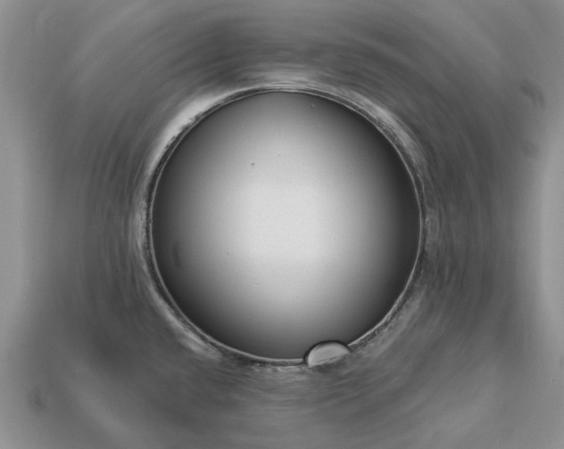 X0000113271432200909241534