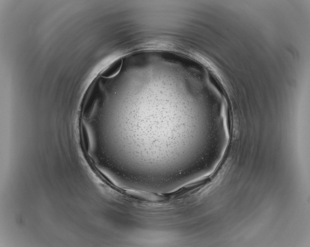 X0000113271434200909241534