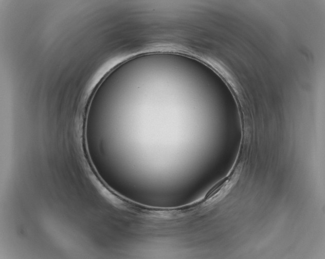 X0000113271438200909241534