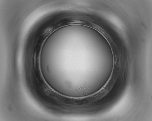 X0000113271439200909241534