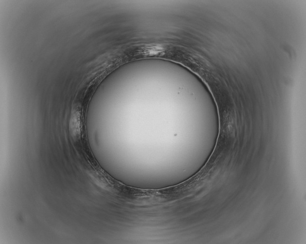 X0000113271442200909241533