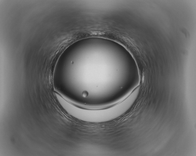 X0000113271444200909241533