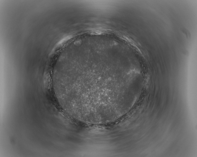 X0000113271446200909241533