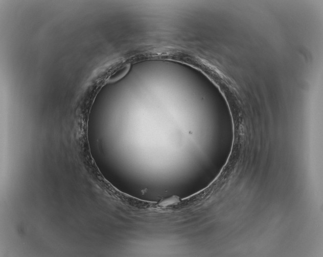 X0000113271447200909241533