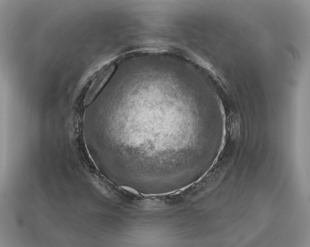 X0000113271448200909241533