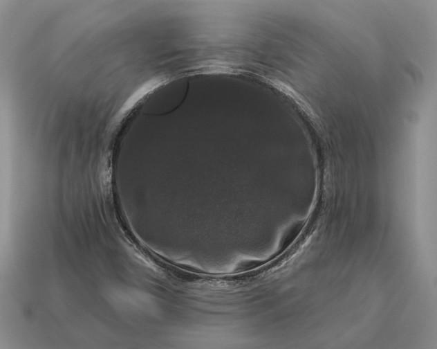 X0000113271450200909241533