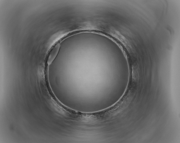 X0000113271452200909241533