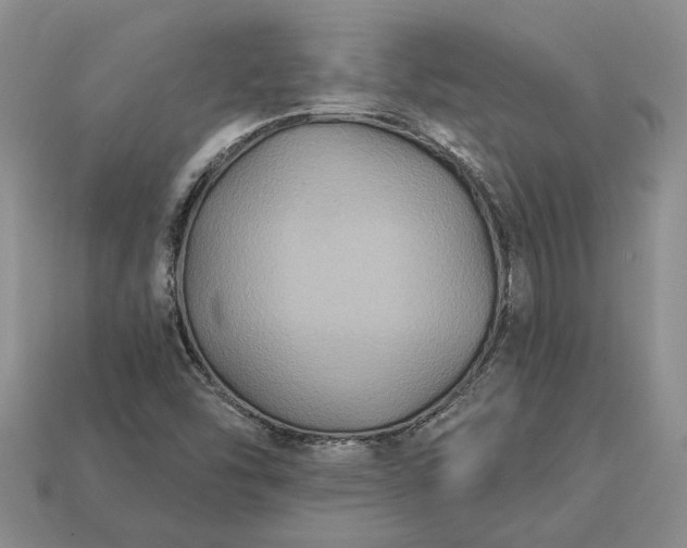 X0000113271454200909241533