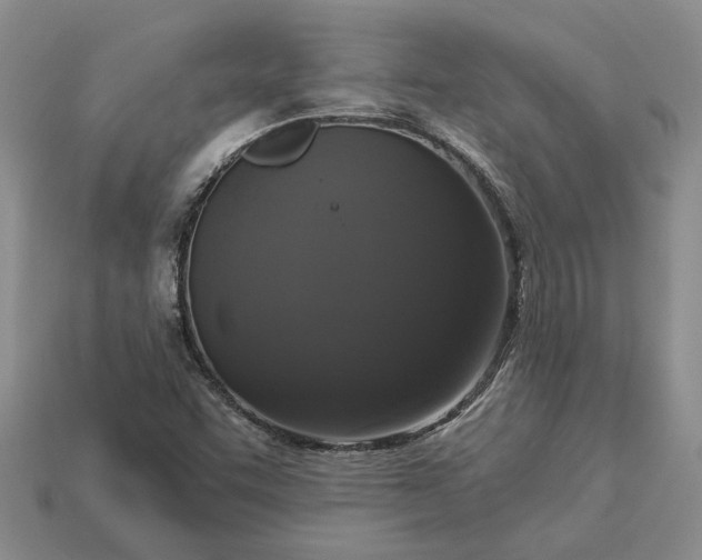 X0000113271455200909241533
