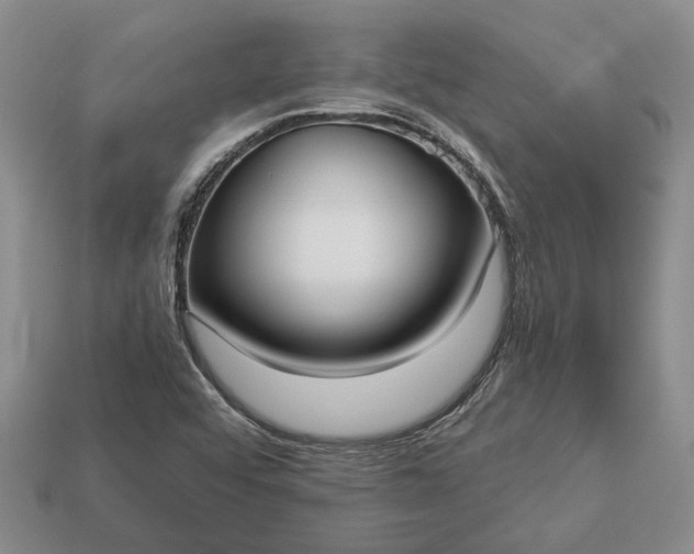 X0000113271456200909241533