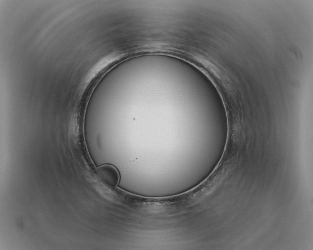 X0000113271458200909241533